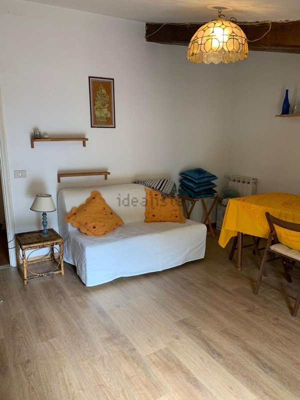 appartamento in affitto a Firenze in zona Centro San Frediano