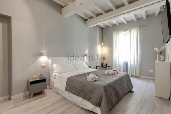 appartamento in affitto a Firenze in zona Centro Santa Croce