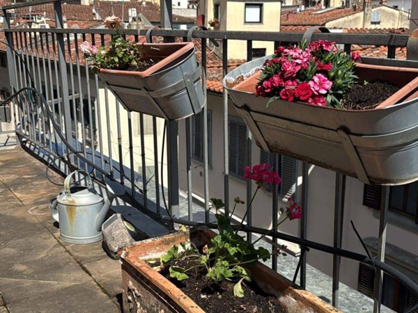 appartamento in affitto a Firenze in zona Centro Santa Croce
