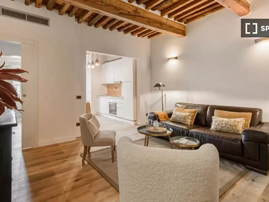 appartamento in affitto a Firenze in zona Centro San Frediano