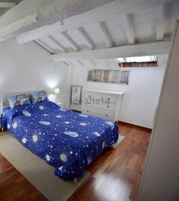 appartamento in affitto a Firenze in zona Centro San Frediano