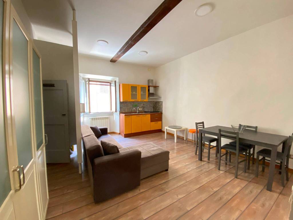 appartamento in affitto a Firenze in zona Centro San Frediano