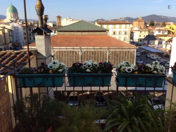 appartamento in affitto a Firenze in zona Centro Santa Croce