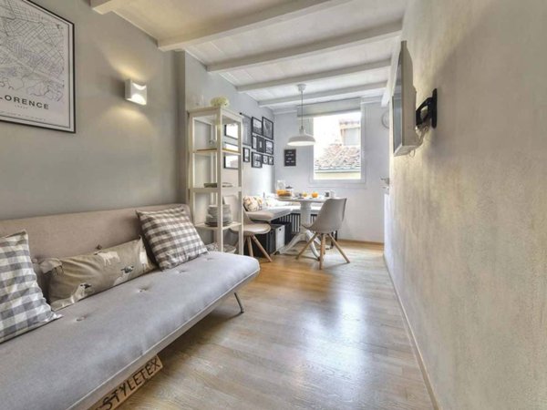 appartamento in affitto a Firenze in zona Centro San Frediano