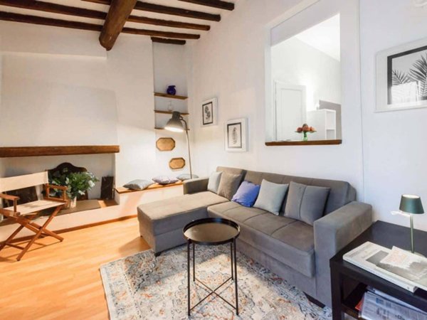 appartamento in affitto a Firenze in zona Centro San Frediano