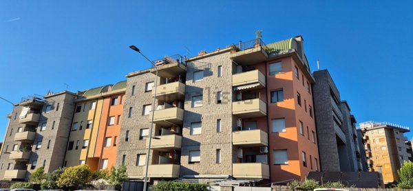 appartamento in affitto a Firenze in zona Firenze Nova