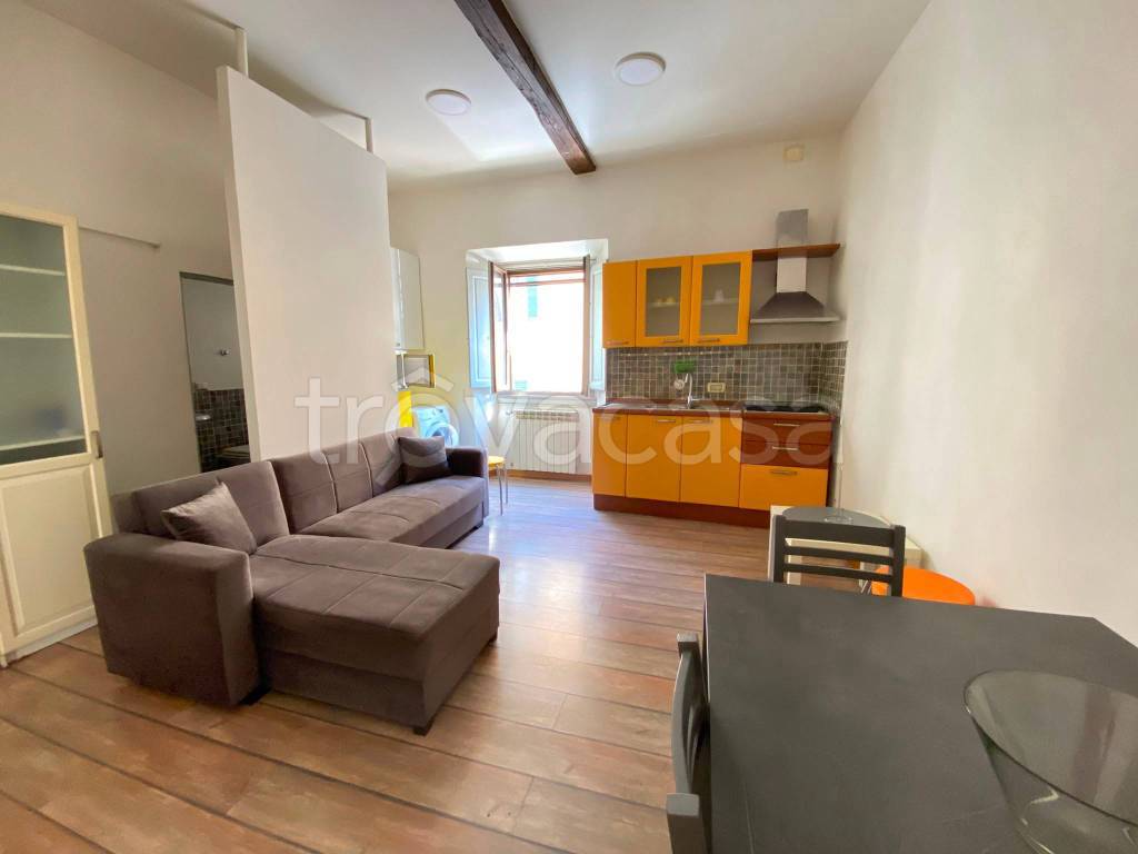 appartamento in affitto a Firenze in zona Centro San Frediano