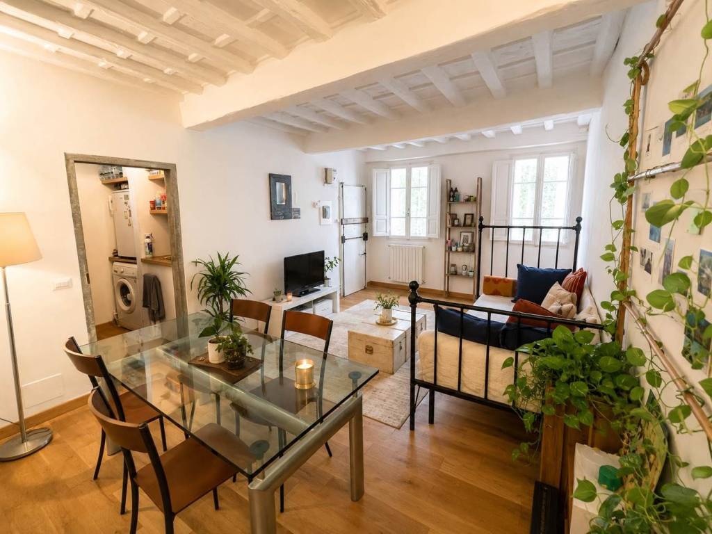 appartamento in affitto a Firenze in zona Centro San Frediano