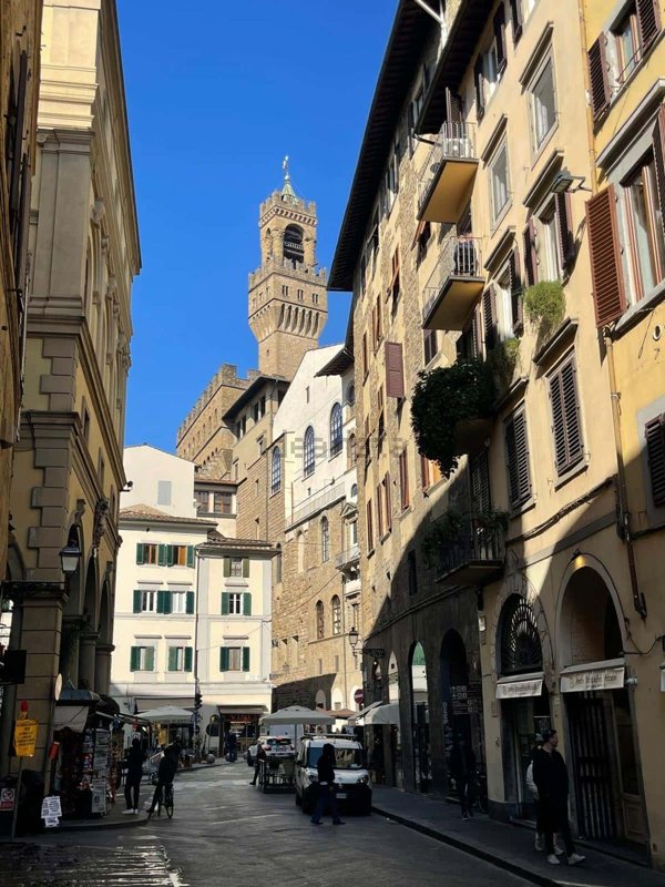 appartamento in affitto a Firenze in zona Centro Storico