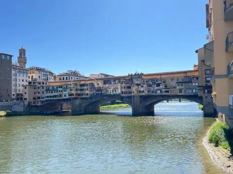 appartamento in affitto a Firenze in zona Centro San Frediano