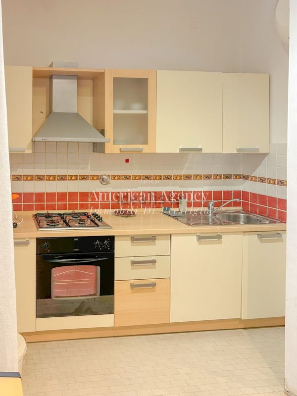 appartamento in affitto a Firenze in zona Centro San Frediano