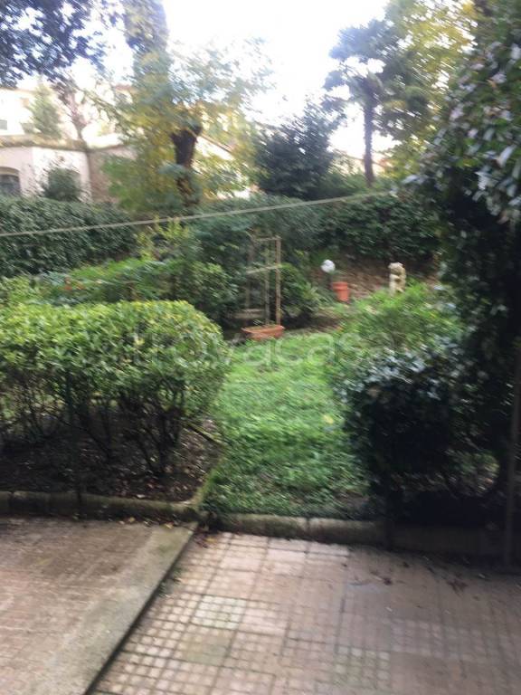 appartamento in affitto a Firenze in zona Campo di Marte
