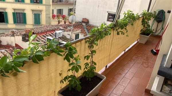 appartamento in affitto a Firenze