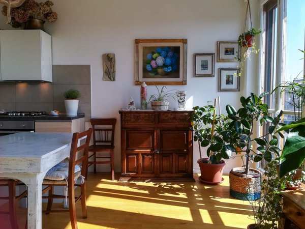 appartamento in affitto a Firenze