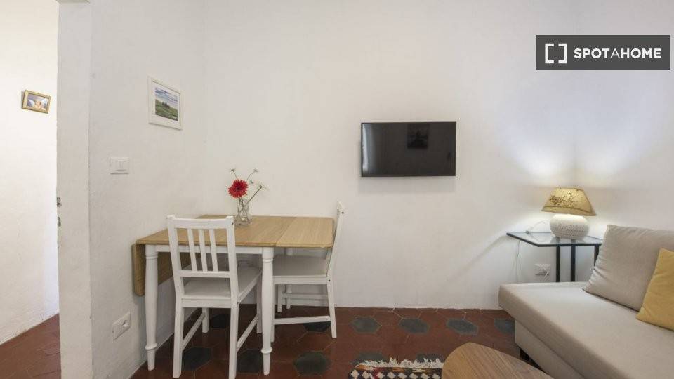 appartamento in affitto a Firenze in zona Centro San Frediano
