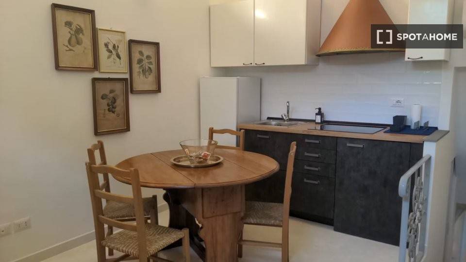 appartamento in affitto a Firenze in zona Centro Santa Maria Novella
