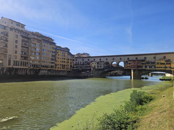 appartamento in affitto a Firenze in zona Centro Storico