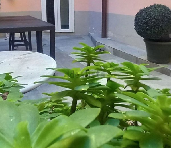 appartamento in affitto a Firenze in zona Centro Duomo
