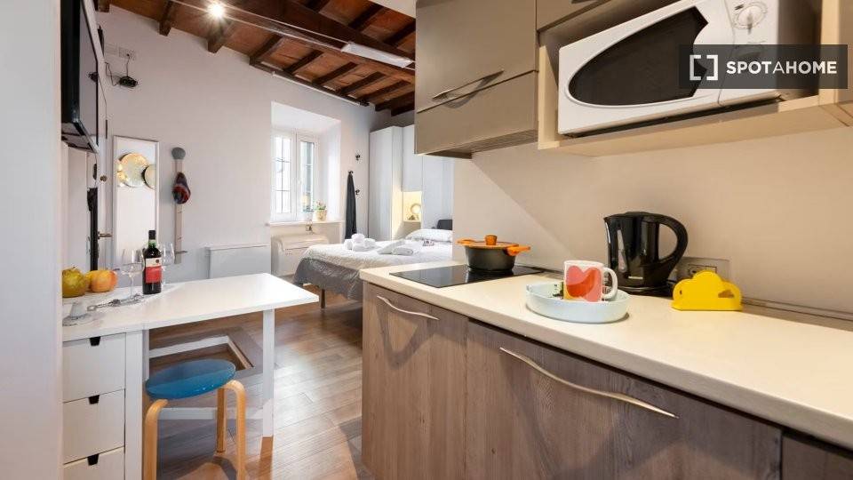 appartamento in affitto a Firenze in zona Porta Romana