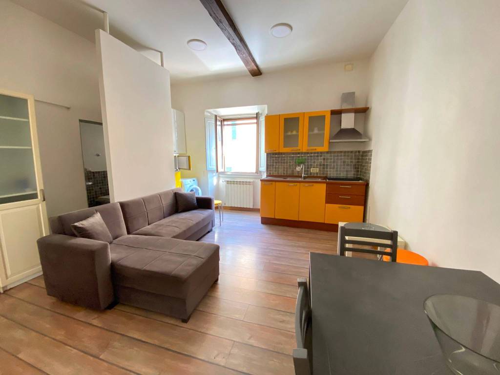 appartamento in affitto a Firenze in zona Centro San Frediano