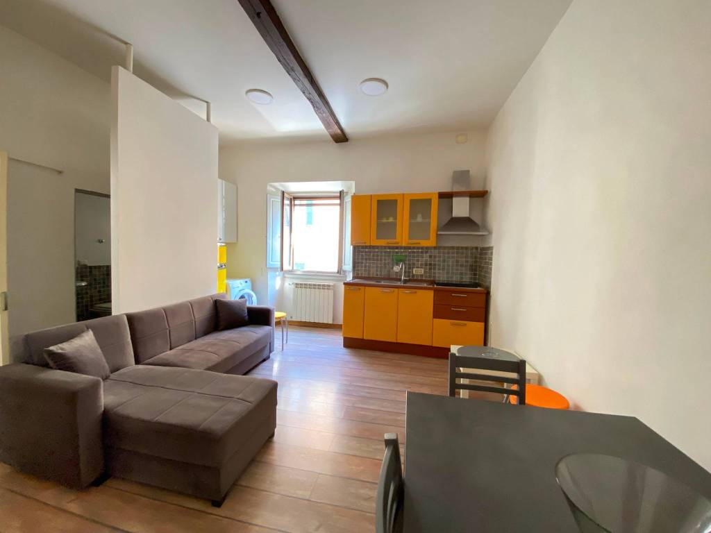 appartamento in affitto a Firenze in zona Isolotto