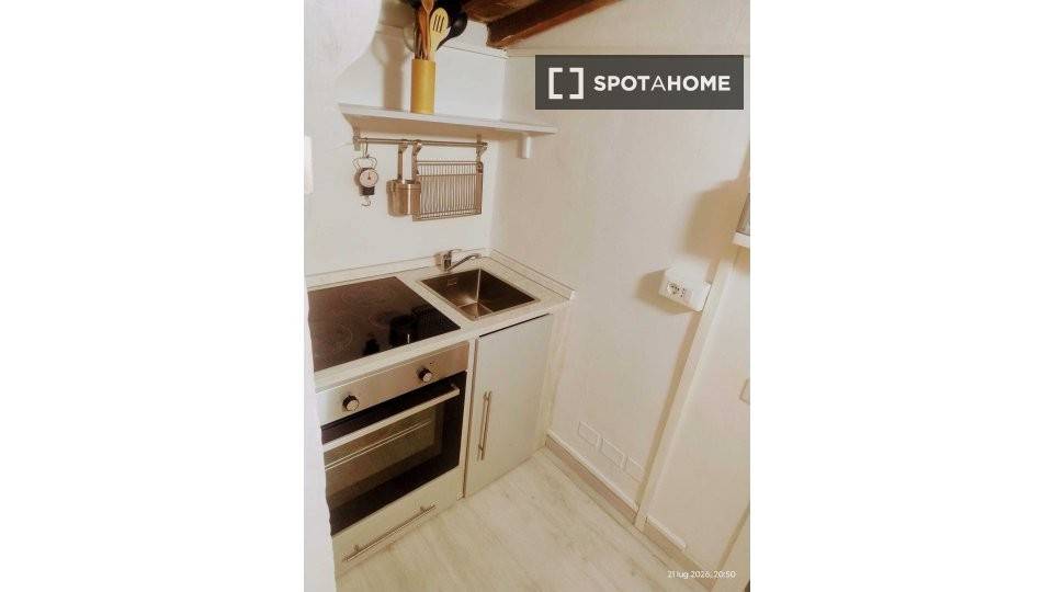 appartamento in affitto a Firenze in zona Ognissanti