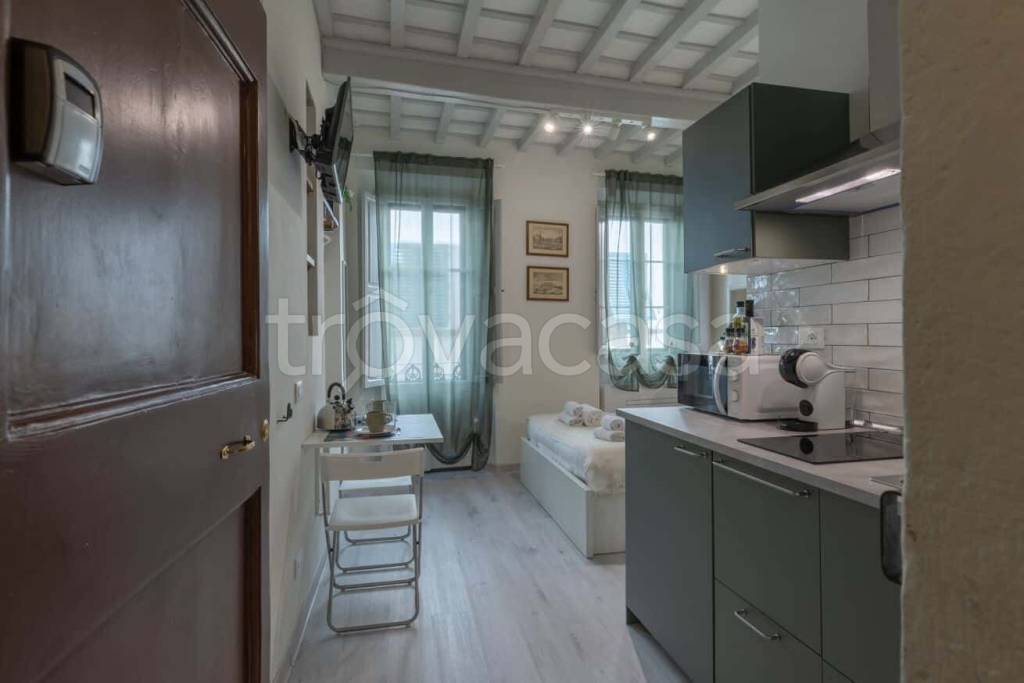appartamento in affitto a Firenze in zona Centro San Frediano