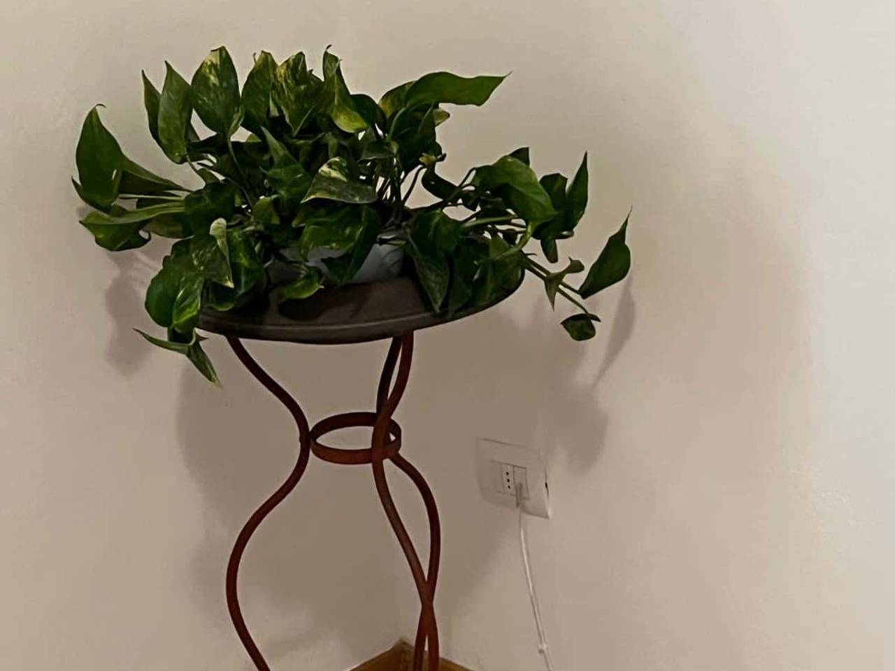 appartamento in affitto a Firenze in zona Statuto