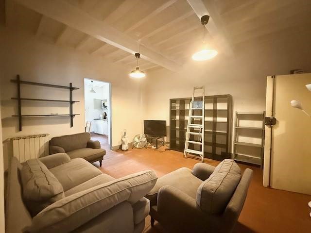 appartamento in affitto a Firenze in zona Centro San Frediano