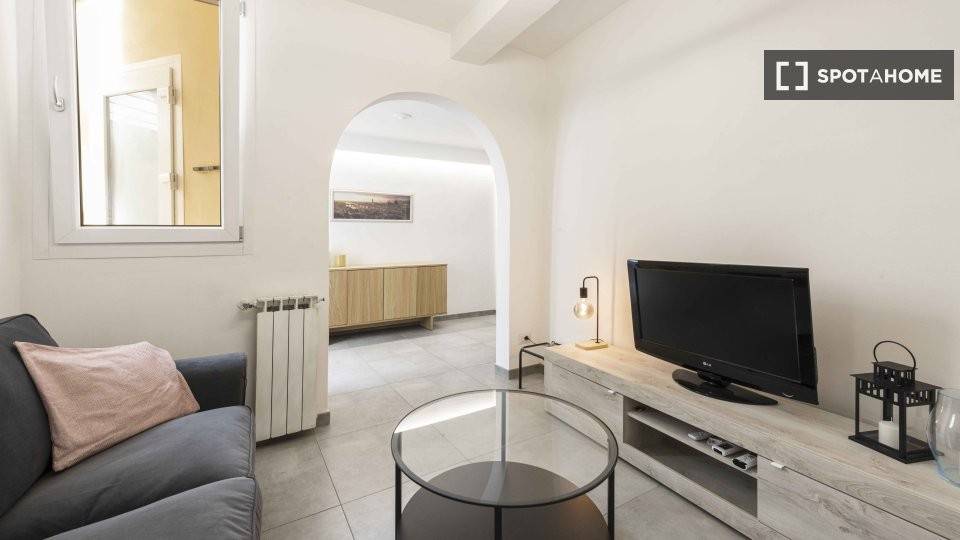 appartamento in affitto a Firenze in zona Centro Santa Croce