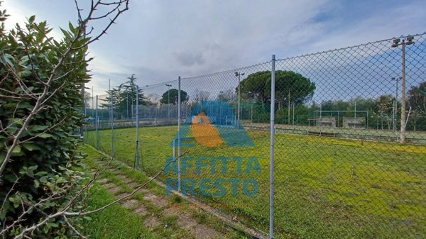 negozio in affitto a Fucecchio