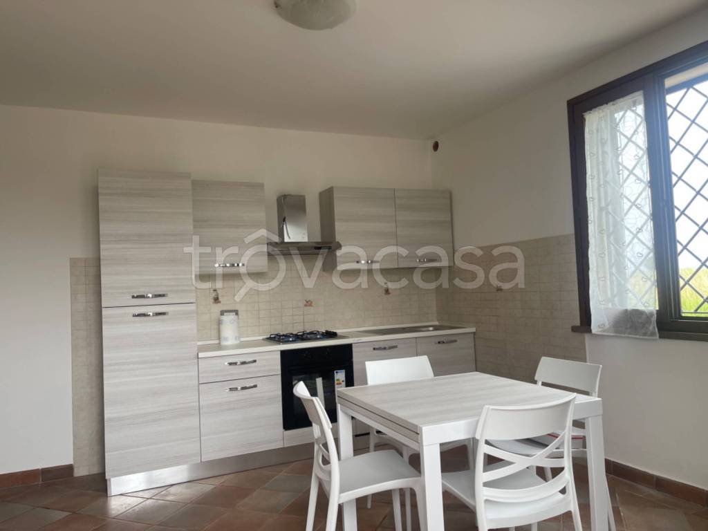 appartamento in affitto a Fucecchio