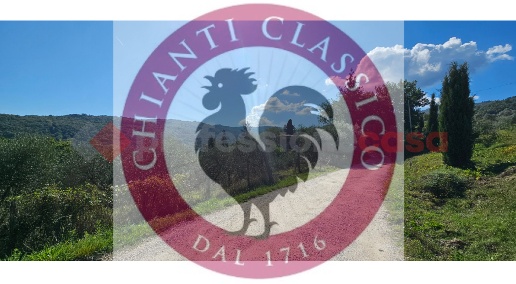 appartamento in affitto a Greve in Chianti