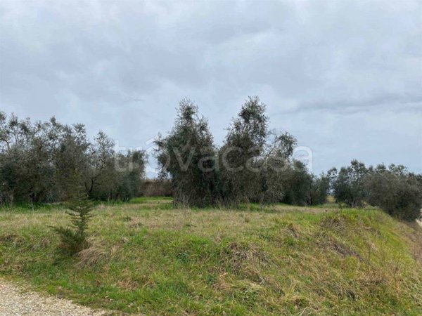 casa indipendente in affitto a Lastra a Signa