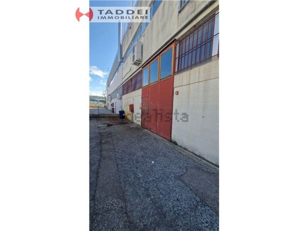 appartamento in affitto a Lastra a Signa in zona Stagno