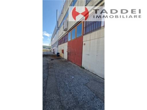 appartamento in affitto a Lastra a Signa in zona Stagno