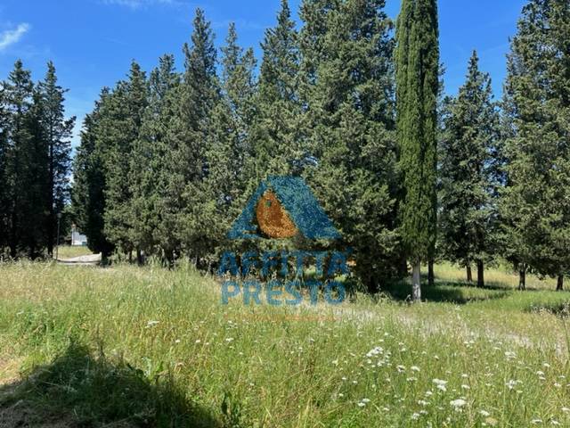 casa indipendente in affitto a Montelupo Fiorentino