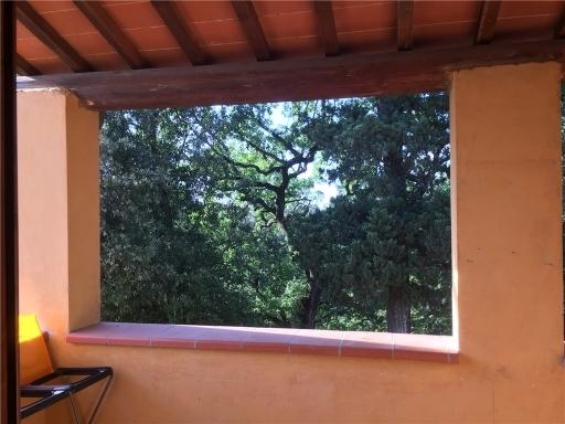 appartamento in affitto a Montelupo Fiorentino