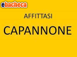 capannone in affitto a Montelupo Fiorentino