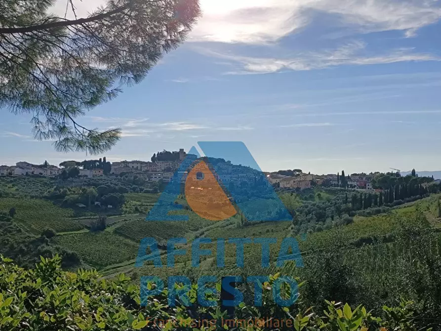 appartamento in affitto a Montelupo Fiorentino