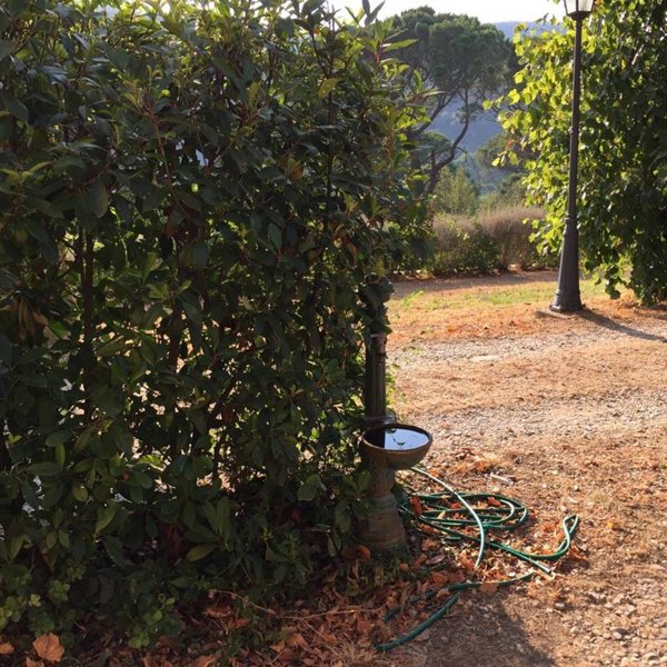 appartamento in affitto a Montelupo Fiorentino in zona Camaioni