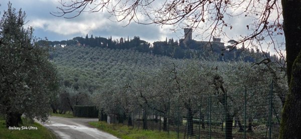 appartamento in affitto a Montespertoli in zona Poppiano