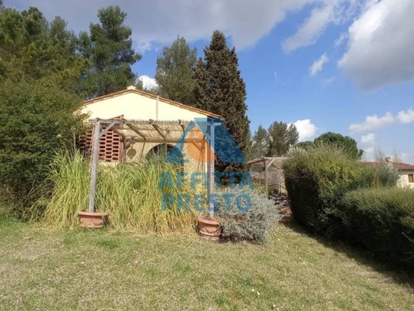 appartamento in affitto a Montespertoli