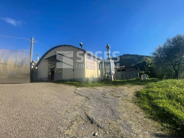 negozio in affitto a Pelago in zona Stentatoio