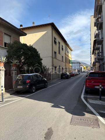 negozio in affitto a Pelago in zona San Francesco