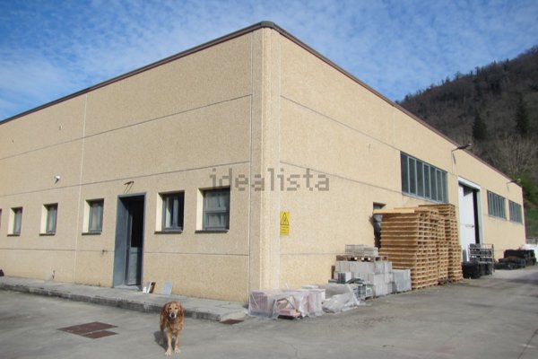 capannone in affitto a Pontassieve