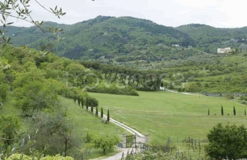immagine annuncio 0 di 10