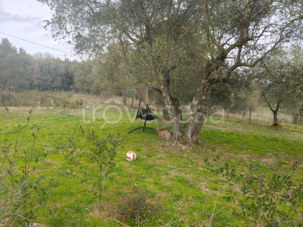 appartamento in affitto a Rignano sull'Arno in zona Volognano