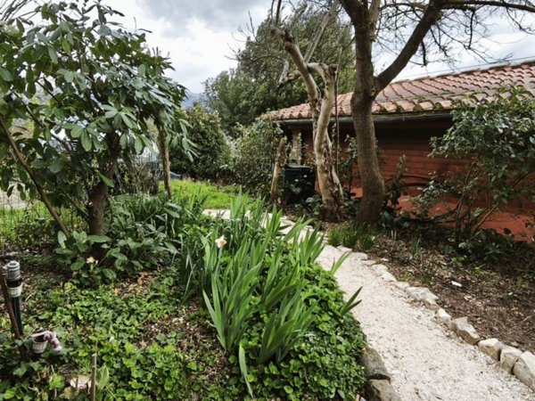 casa indipendente in affitto a Rignano sull'Arno