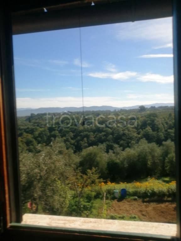 immagine annuncio 0 di 15